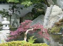 Fototapeta vliesov 100 x 73, 4092220 - Japanese garden - Japonsk zahrada