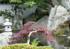 Samolepka flie 145 x 100, 4092220 - Japanese garden