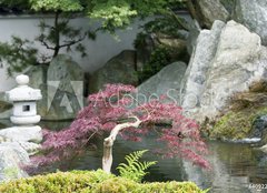 Fototapeta pltno 240 x 174, 4092220 - Japanese garden - Japonsk zahrada