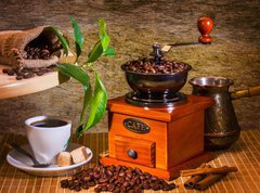 Samolepka flie 270 x 200, 41048479 - grinder and other accessories for the coffee