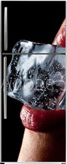 Samolepka na lednici flie 80 x 200, 41060022 - Ice cube in woman