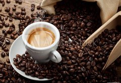 Samolepka flie 145 x 100, 41084792 - Espresso