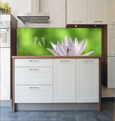 Fototapeta do kuchyn flie 180 x 60, 41172939 - Floating waterlily