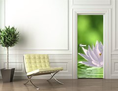 Samolepka na dvee flie 90 x 220, 41172939 - Floating waterlily