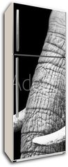 Samolepka na lednici flie 80 x 200, 41216080 - African Elephant Close Up