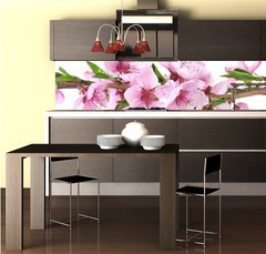 Fototapeta do kuchyně fólie 260 x 60, 41227262 - beautiful pink peach blossom isolated on white - krásná růžová broskvový květ izolovaných na bílém