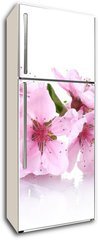 Samolepka na lednici flie 80 x 200  beautiful pink peach blossom isolated on white, 80 x 200 cm