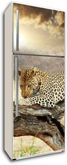 Samolepka na lednici flie 80 x 200, 41251852 - Leopard