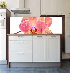 Fototapeta do kuchyn flie 180 x 60, 41466229 - Pink orchid
