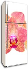 Samolepka na lednici flie 80 x 200, 41466229 - Pink orchid