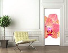 Samolepka na dvee flie 90 x 220, 41466229 - Pink orchid