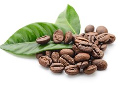 Samolepka flie 270 x 200  coffee, 270 x 200 cm