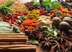 Fototapeta100 x 73  Herbs and spices., 100 x 73 cm