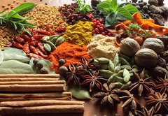 Samolepka flie 145 x 100, 41495761 - Herbs and spices. - Bylinky a koen.