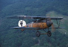 Samolepka flie 145 x 100  World War I fighter, 145 x 100 cm