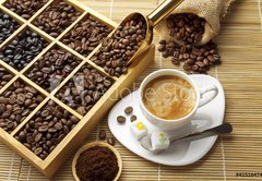 Samolepka flie 145 x 100, 41516474 - cofee