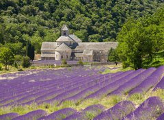 Fototapeta vliesov 100 x 73, 41520883 - Abbaye de SmAbbaye de Smamque Francia