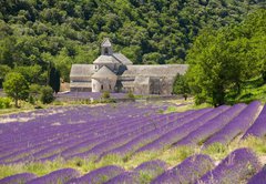 Fototapeta vliesov 145 x 100, 41520883 - Abbaye de SmAbbaye de Smamque Francia