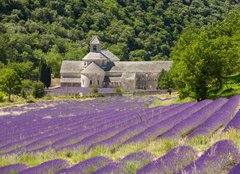 Fototapeta papr 160 x 116, 41520883 - Abbaye de SmAbbaye de Smamque Francia