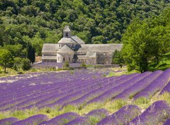 Fototapeta pltno 330 x 244, 41520883 - Abbaye de SmAbbaye de Smamque Francia