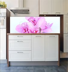 Fototapeta do kuchyn flie 180 x 60, 41582656 - beautiful pink orchid against blue background