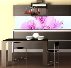 Fototapeta do kuchyn flie 260 x 60, 41582656 - beautiful pink orchid against blue background