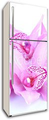 Samolepka na lednici flie 80 x 200, 41582656 - beautiful pink orchid against blue background