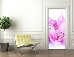 Samolepka na dvee flie 90 x 220, 41582656 - beautiful pink orchid against blue background