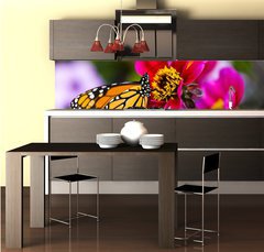 Fototapeta do kuchyn flie 260 x 60, 41610783 - Monarch Butterfly