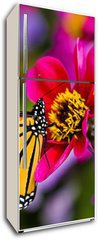 Samolepka na lednici flie 80 x 200  Monarch Butterfly, 80 x 200 cm