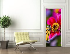 Samolepka na dvee flie 90 x 220  Monarch Butterfly, 90 x 220 cm