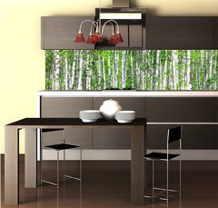 Fototapeta do kuchyně fólie 260 x 60, 41678532 - Birch forest. May - Birch les. Smět
