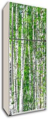 Samolepka na lednici flie 80 x 200  Birch forest. May, 80 x 200 cm