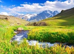 Fototapeta pltno 160 x 116, 41700210 - River on meadow - eka na louce