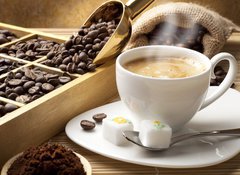 Samolepka flie 100 x 73, 41785099 - Coffee in the world
