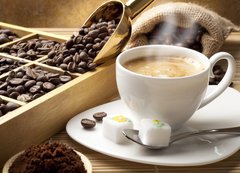 Samolepka flie 200 x 144, 41785099 - Coffee in the world - Kva na svt
