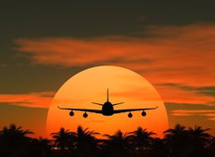 Samolepka flie 100 x 73, 41883817 - airplane flying at sunset over the tropical land with palm trees - letoun lt pi zpadu slunce nad tropickou zem s palmami