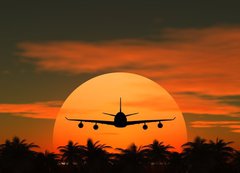 Fototapeta vliesov 200 x 144, 41883817 - airplane flying at sunset over the tropical land with palm trees