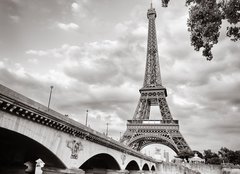 Fototapeta pltno 240 x 174, 41892250 - Eiffel tower view from Seine river square format