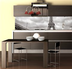 Fototapeta do kuchyn flie 260 x 60, 41892250 - Eiffel tower view from Seine river square format