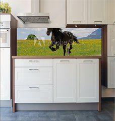 Fototapeta do kuchyn flie 180 x 60, 41915305 - Friese - Friesian