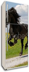 Samolepka na lednici fólie 80 x 200, 41915305 - Friese - Friesian
