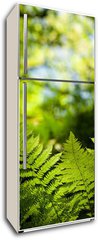 Samolepka na lednici flie 80 x 200, 419413555 - Green fresh fern leafs in a forest with trees in the background and a blue sky - Zelen erstv kapradinov listy v lese se stromy v pozad a modrou oblohou
