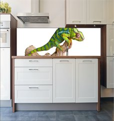 Fototapeta do kuchyn flie 180 x 60, 41961007 - Colorful chameleon (5) - Barevn chameleon (5)