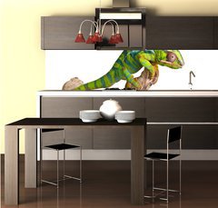 Fototapeta do kuchyně fólie 260 x 60, 41961007 - Colorful chameleon (5) - Barevný chameleon (5)