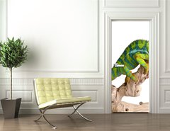 Samolepka na dvee flie 90 x 220, 41961007 - Colorful chameleon (5) - Barevn chameleon (5)