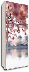 Samolepka na lednici flie 80 x 200  Cherry Blossoms over Tidal Basin in Washington DC, 80 x 200 cm