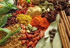 Fototapeta pltno 174 x 120, 42017761 - Spices and herbs
