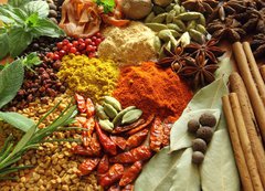 Samolepka flie 200 x 144  Spices and herbs, 200 x 144 cm
