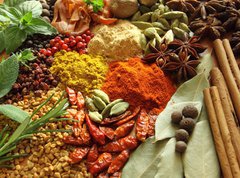 Samolepka flie 270 x 200  Spices and herbs, 270 x 200 cm